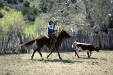 USA-New Mexico-Gila Cowgirl Camp